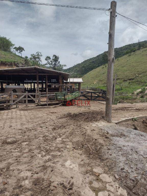 Fazenda à venda com 3 quartos, 1400000M2 - Foto 6