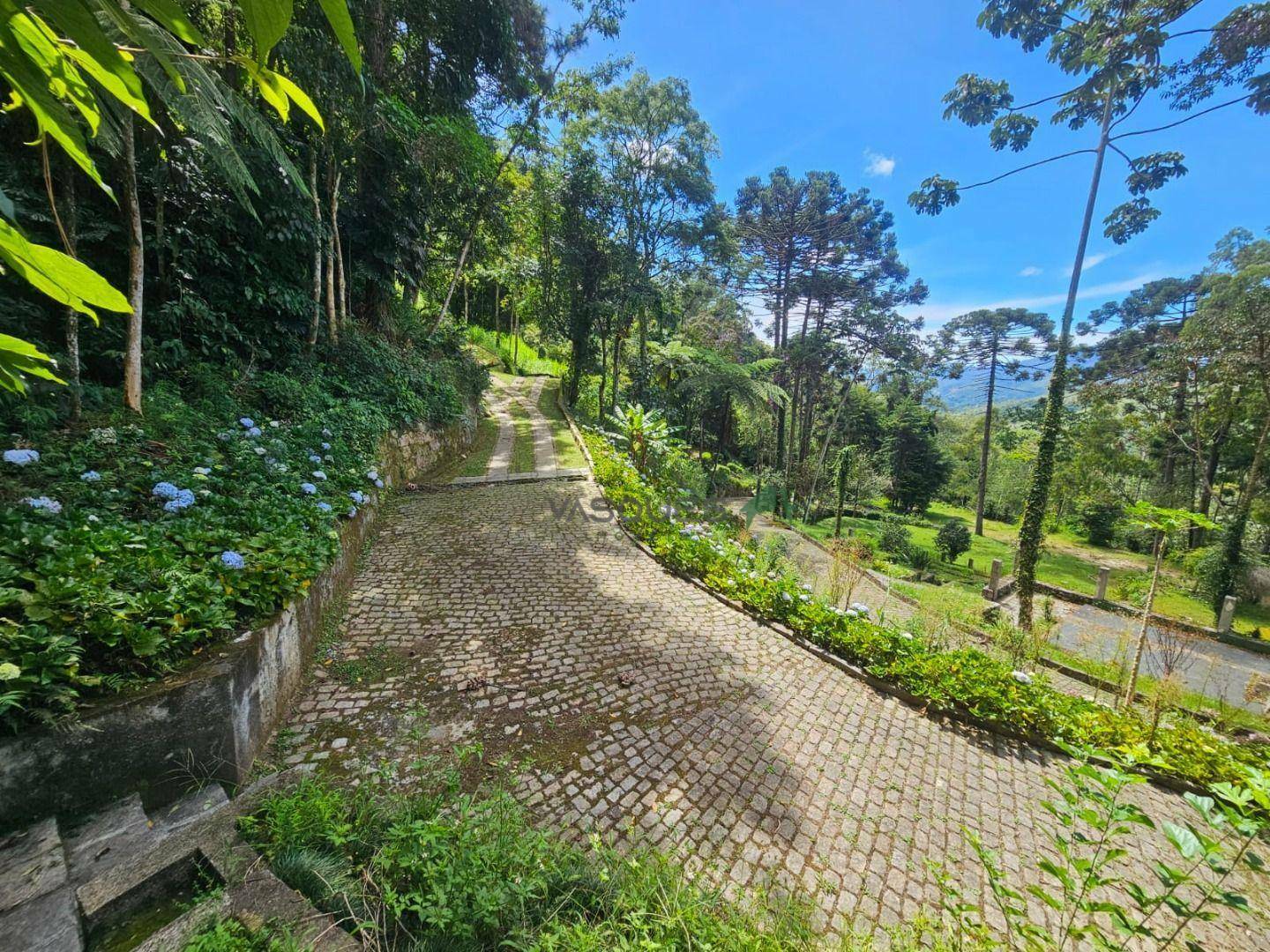 Sítio à venda, 31600M2 - Foto 14