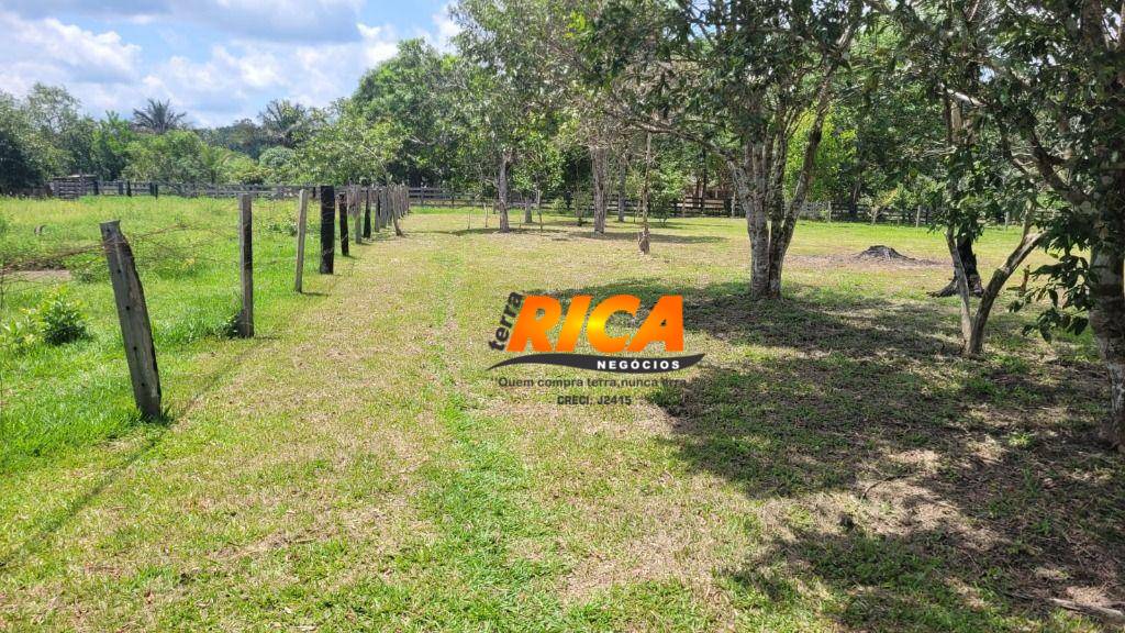 Fazenda, 300 hectares - Foto 17