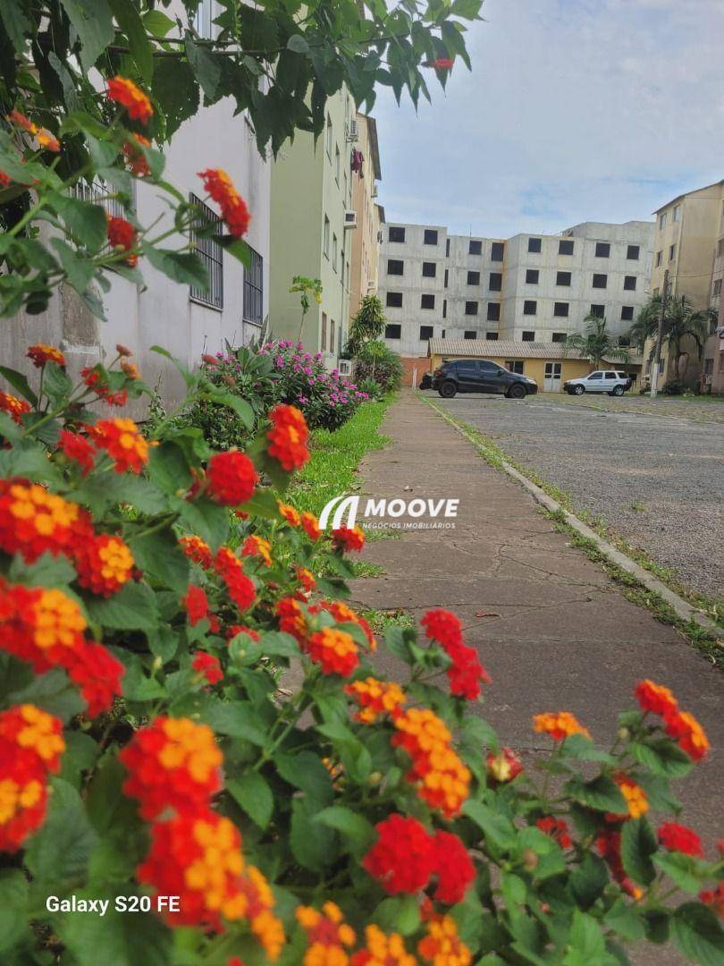 Apartamento, 2 quartos, 38 m² - Foto 5