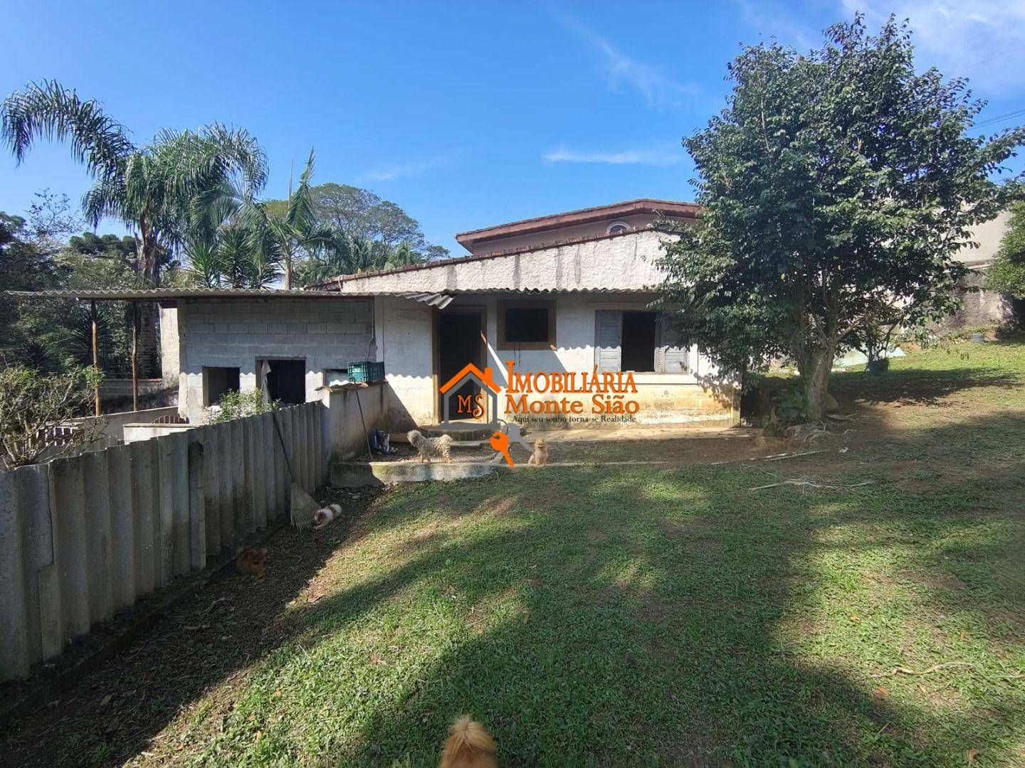 Chácara, 3 quartos, 1000 m² - Foto 2