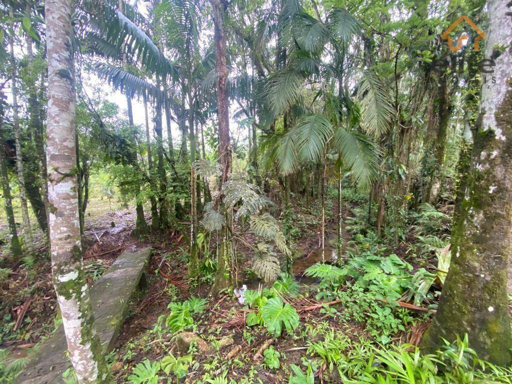 Fazenda à venda com 5 quartos, 4822600M2 - Foto 8