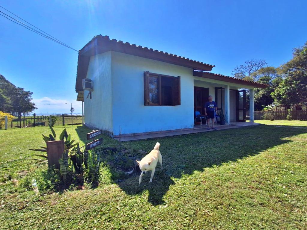 Fazenda à venda com 1 quarto, 90m² - Foto 4