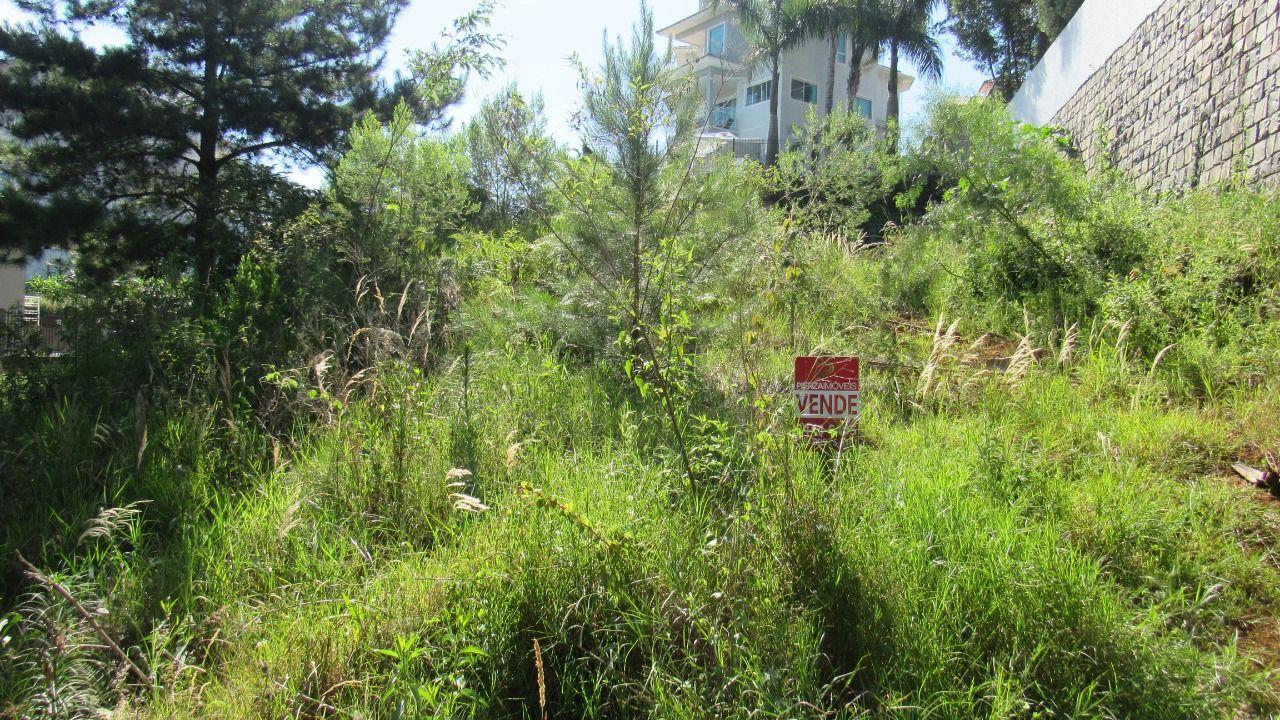 Terreno, 452 m² - Foto 5