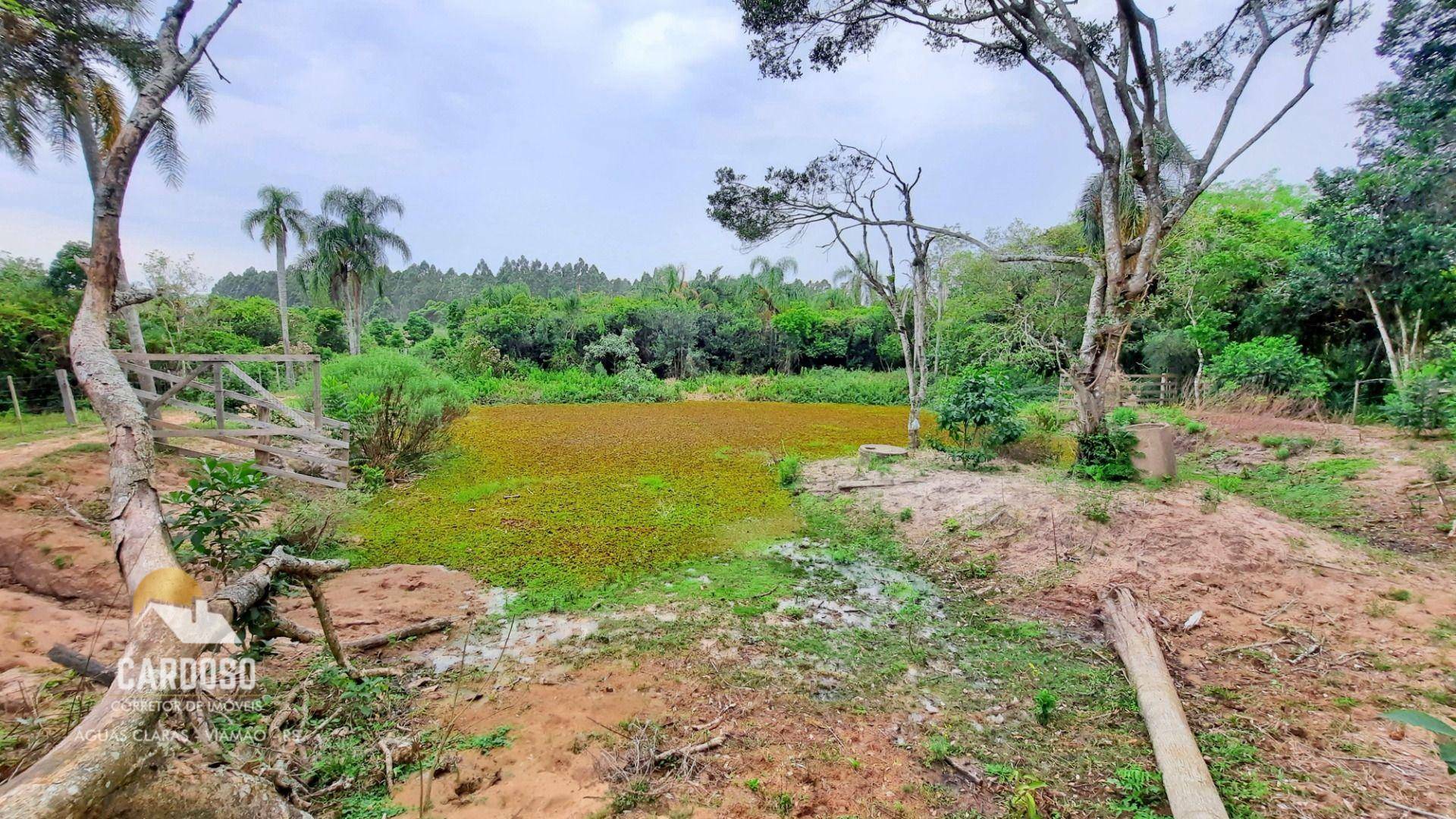 Sítio à venda, 45000M2 - Foto 13