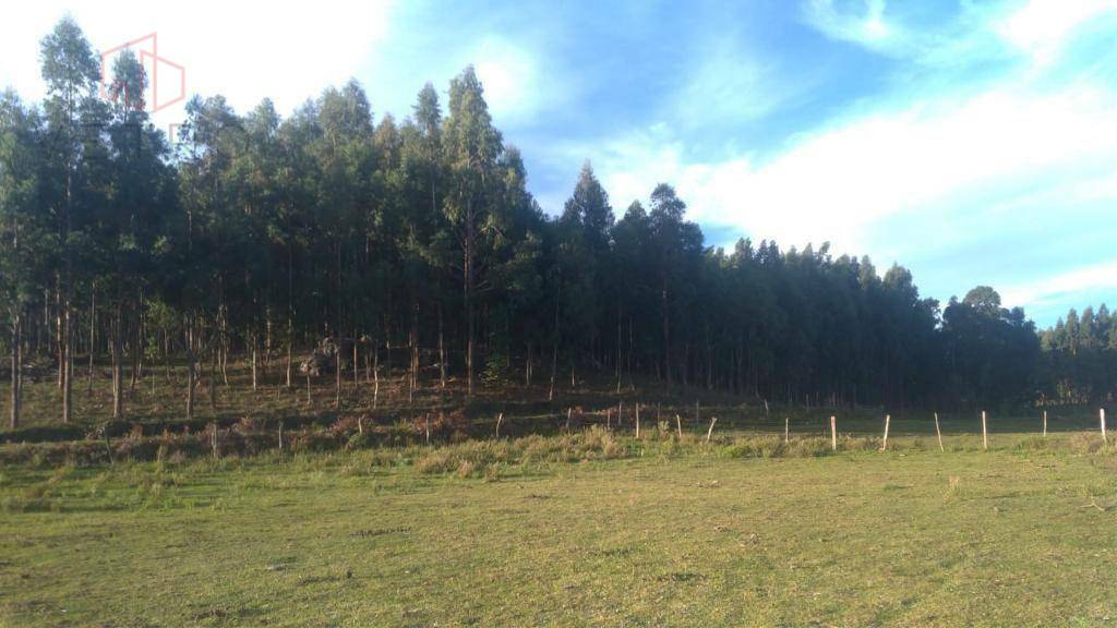 Sítio à venda com 2 quartos, 301395M2 - Foto 5