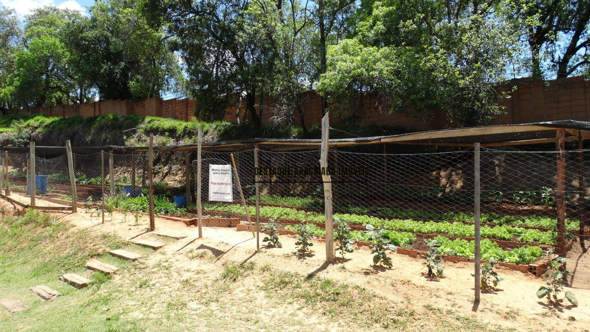 Loteamento e Condomínio à venda, 800M2 - Foto 10