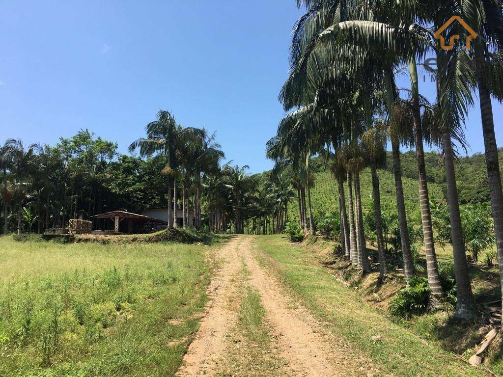 Fazenda à venda com 5 quartos, 4822600M2 - Foto 14