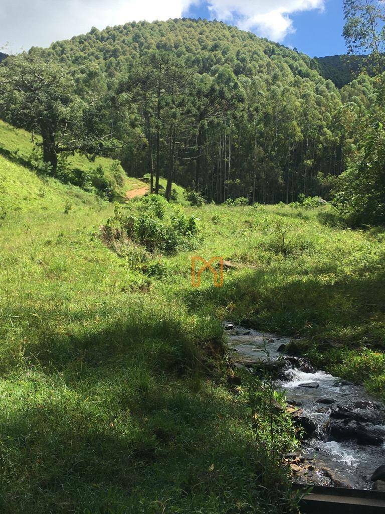 Fazenda à venda com 4 quartos, 3030000M2 - Foto 27