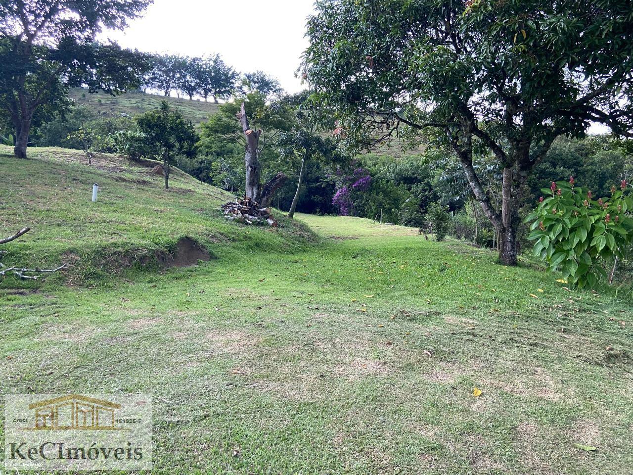 Sítio à venda com 3 quartos, 22000m² - Foto 8