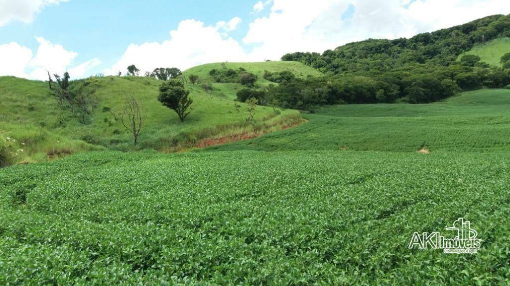 Fazenda à venda com 1 quarto, 2819300M2 - Foto 14