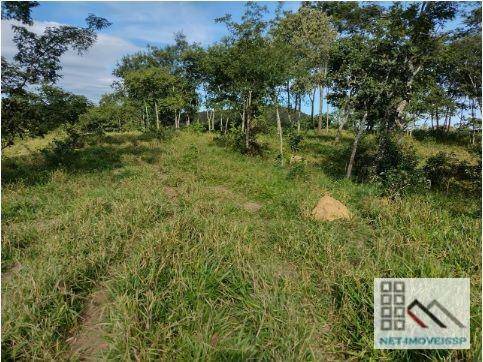 Fazenda à venda com 4 quartos, 500m² - Foto 6