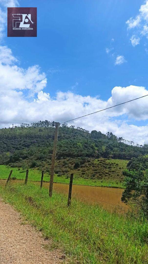 Fazenda à venda com 4 quartos, 1452000M2 - Foto 29