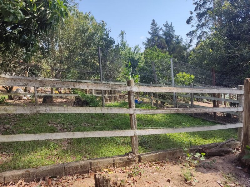 Fazenda à venda com 3 quartos, 120m² - Foto 11