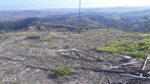 Terreno à venda, 144000M2 - Foto 10