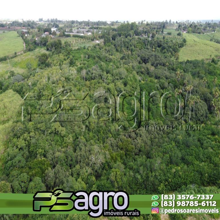 Sítio, 30 hectares - Foto 2