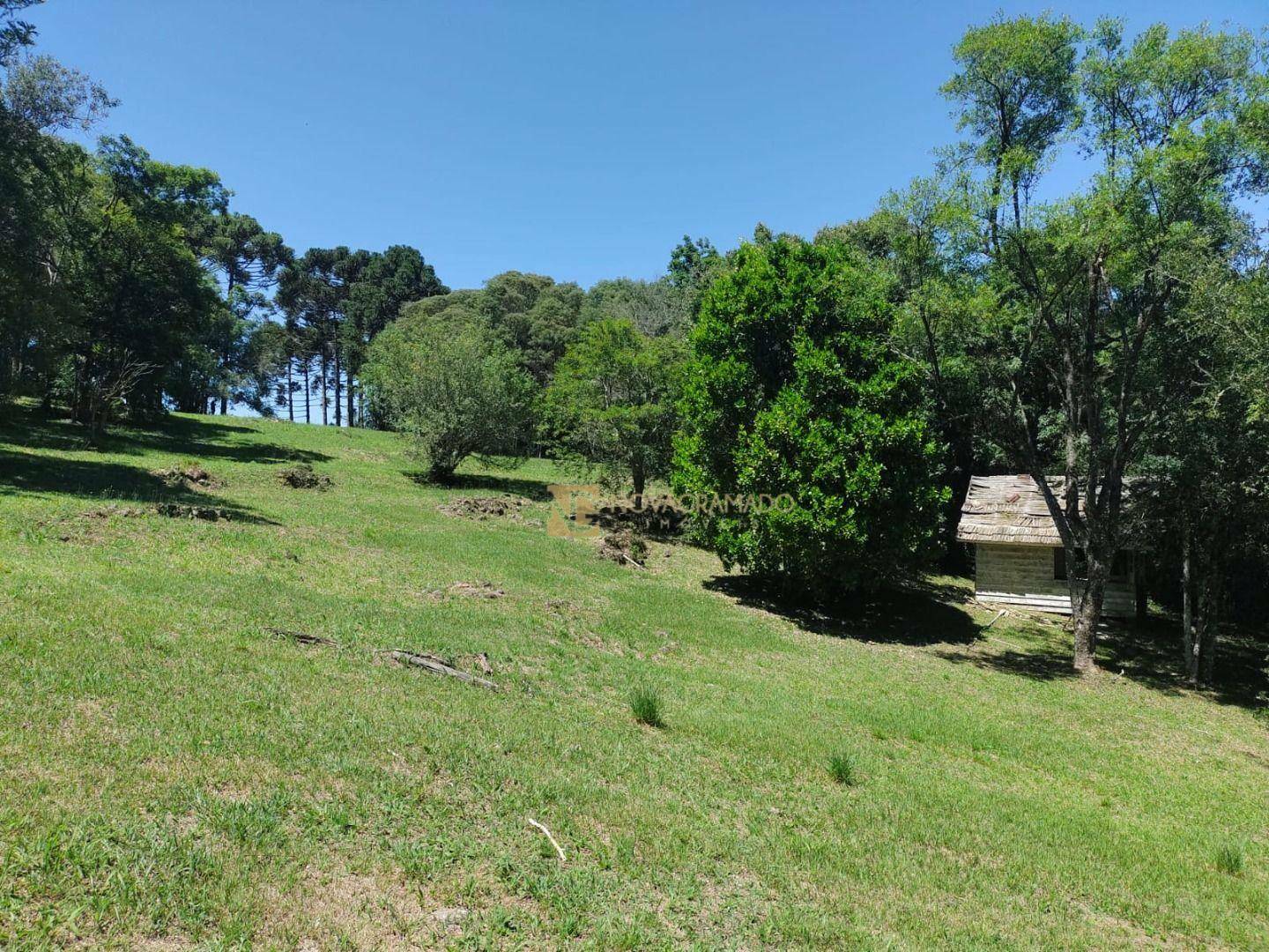 Sítio à venda, 1000m² - Foto 24