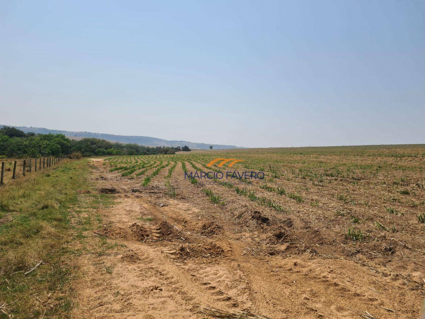 Fazenda à venda, 2299000M2 - Foto 14