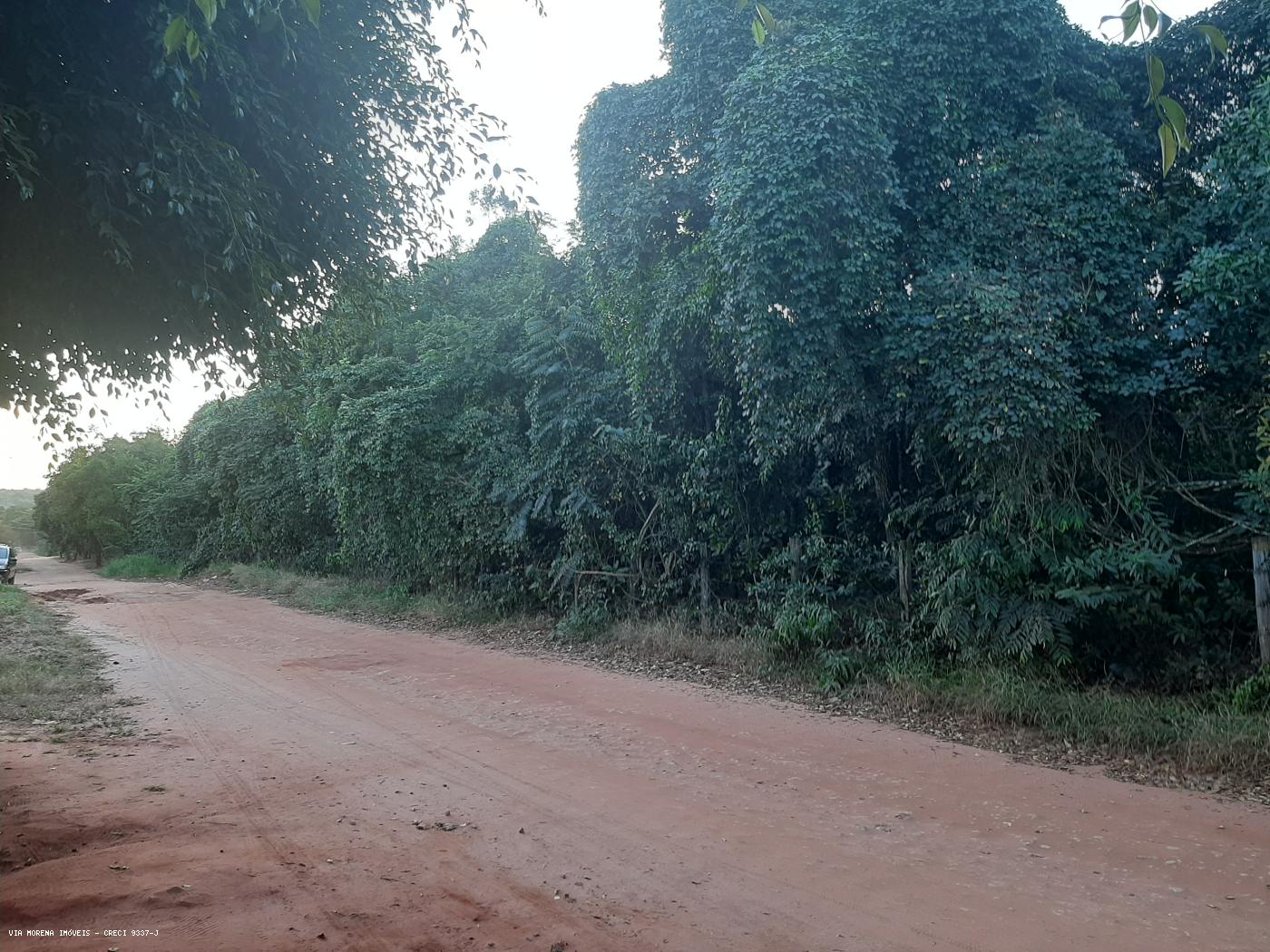 Fazenda à venda, 5000m² - Foto 10