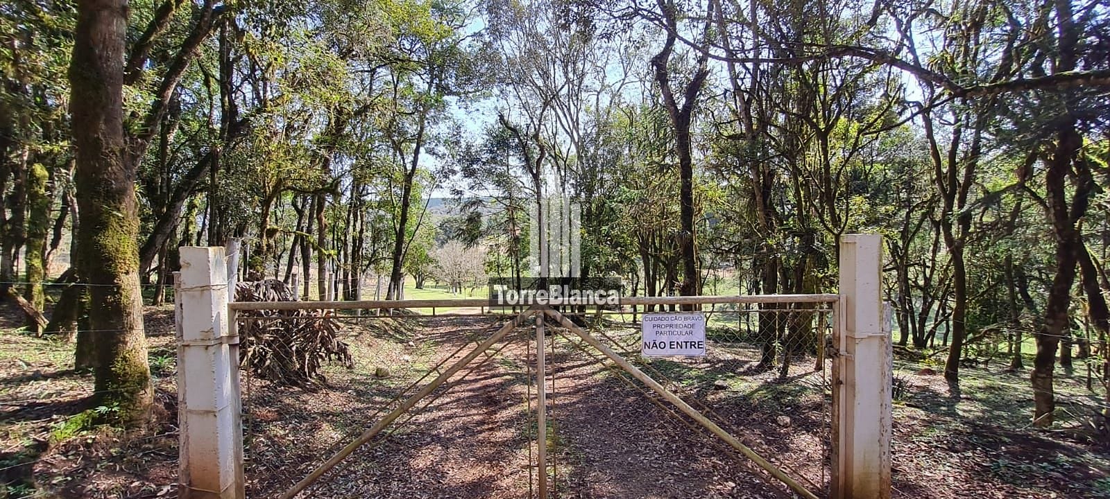 Fazenda-Sítio-Chácara, 23 hectares - Foto 2