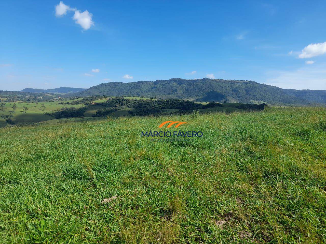 Sítio, 92 hectares - Foto 1