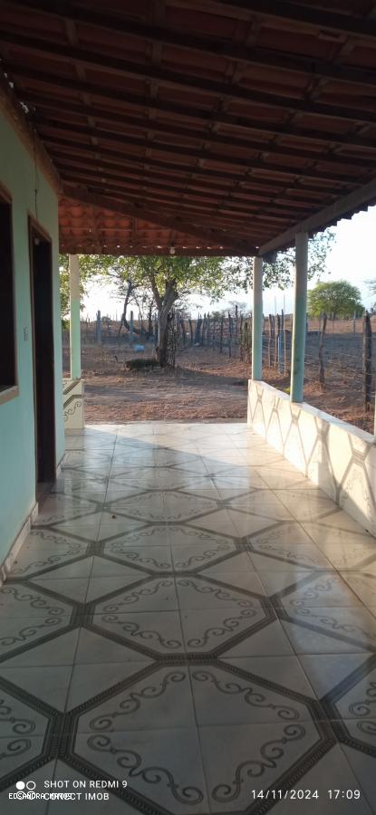 Fazenda à venda com 2 quartos, 3350m² - Foto 7