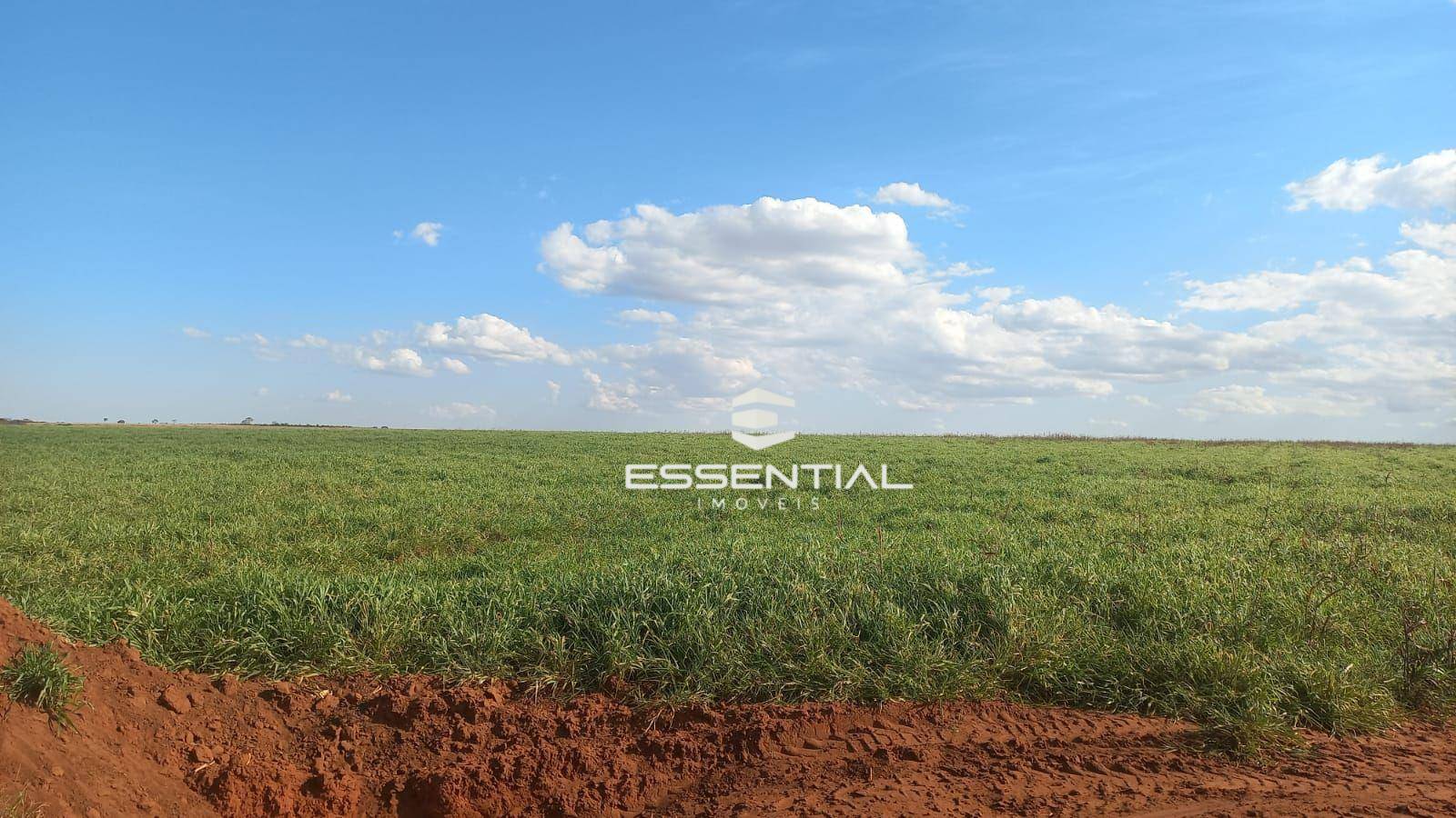 Fazenda, 1143 hectares - Foto 1