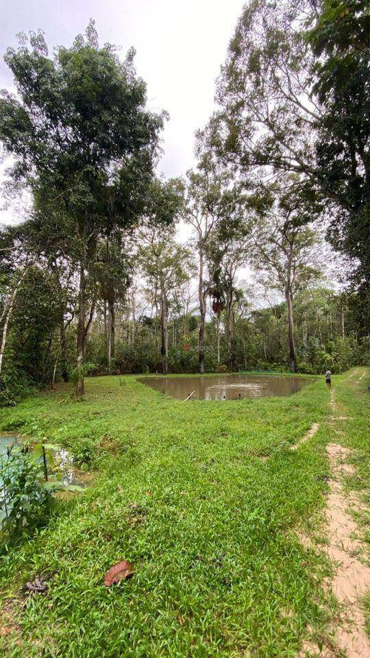 Chácara à venda com 2 quartos, 11000M2 - Foto 26