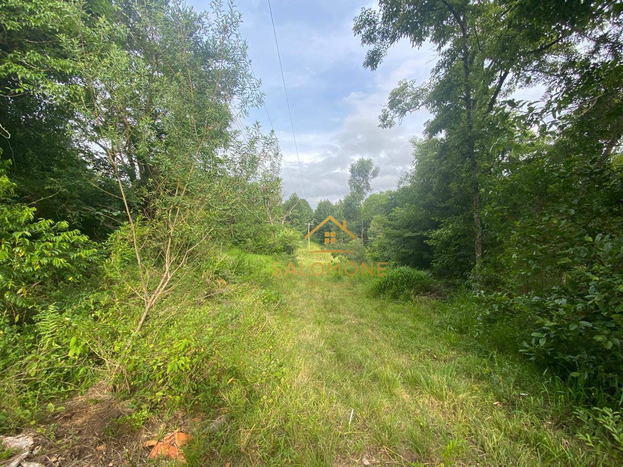 Flat/Apart Hotel, 7 quartos, 1500 m² - Foto 4