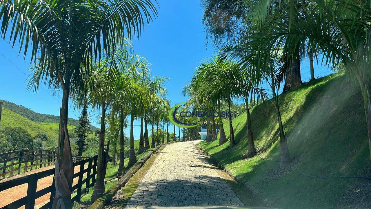 Fazenda à venda com 3 quartos, 3388000M2 - Foto 8