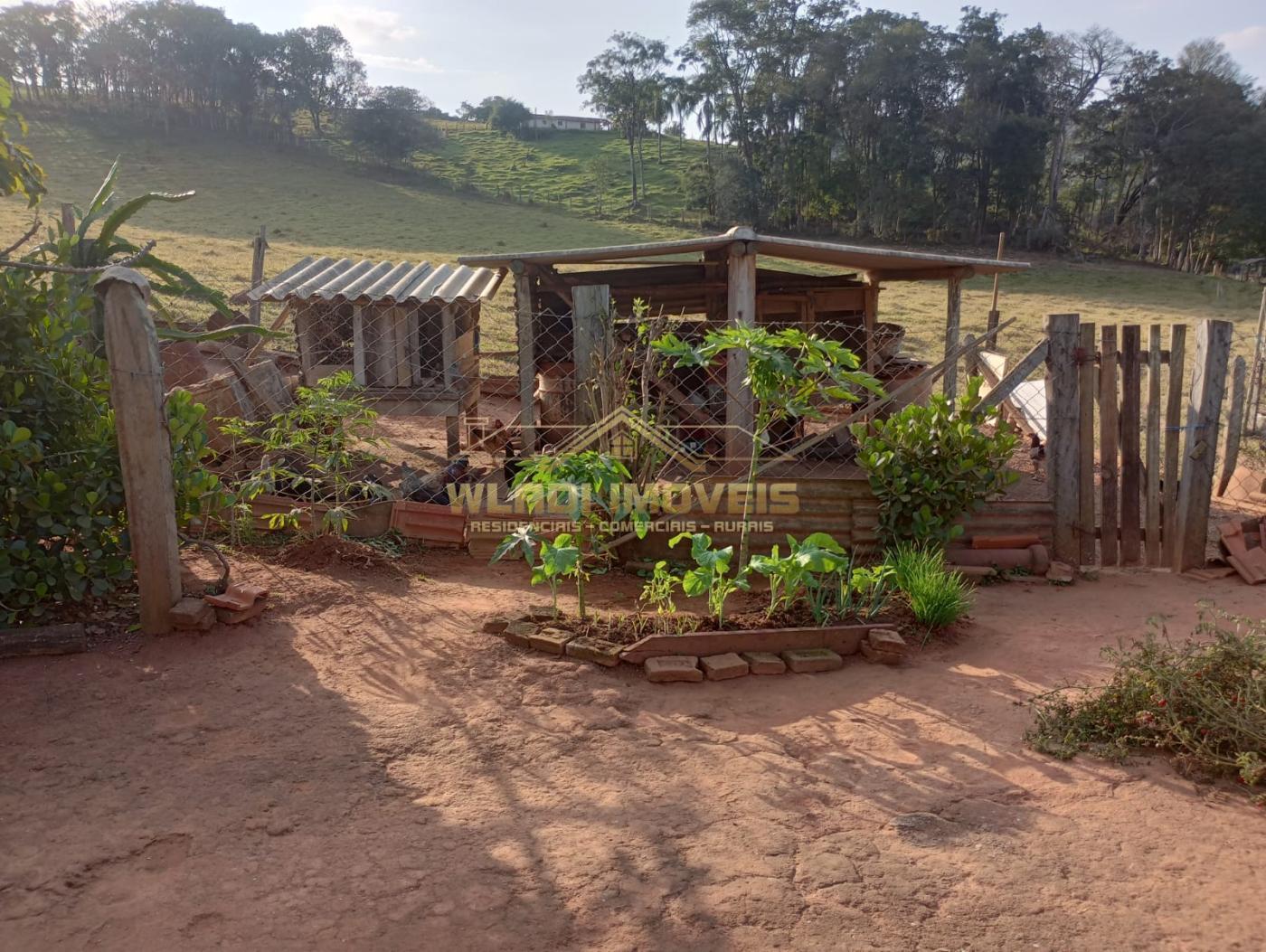 Fazenda à venda com 2 quartos, 4m² - Foto 35