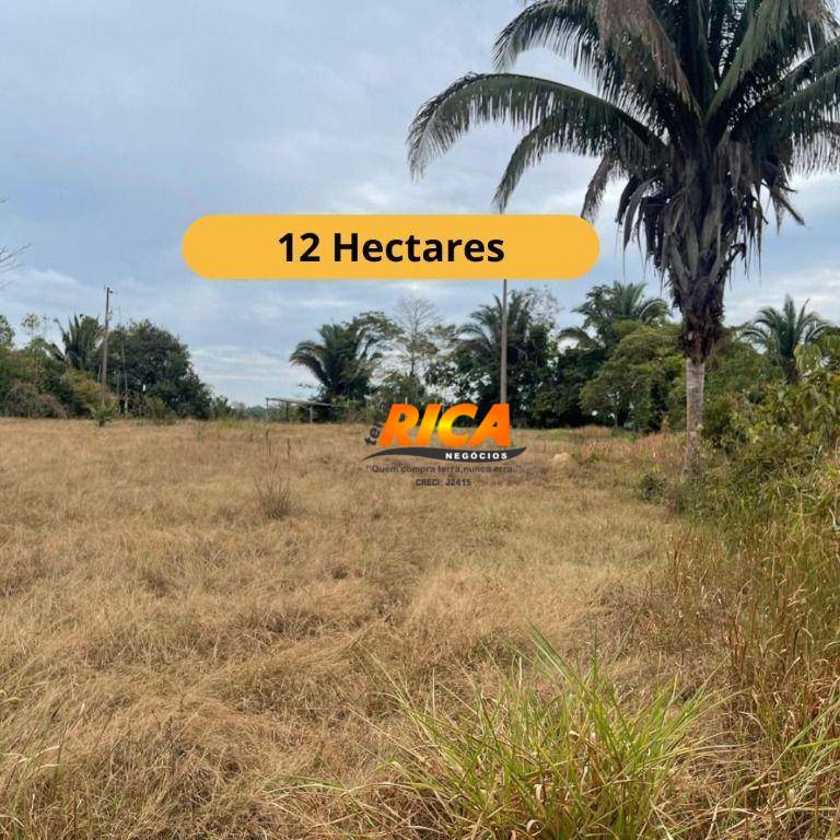 Sítio, 12 hectares - Foto 1