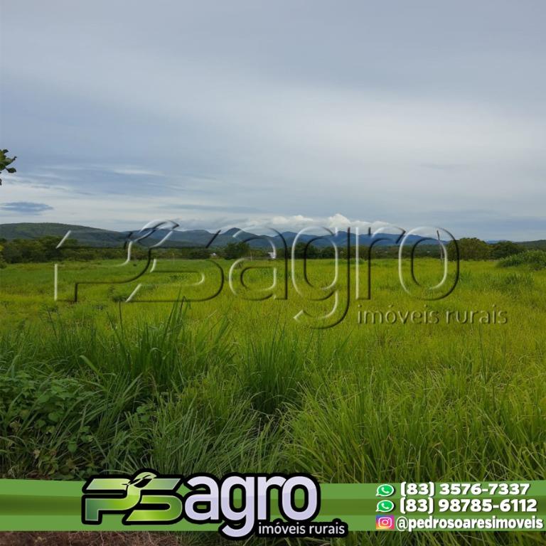 Fazenda-Sítio-Chácara, 11 hectares - Foto 3