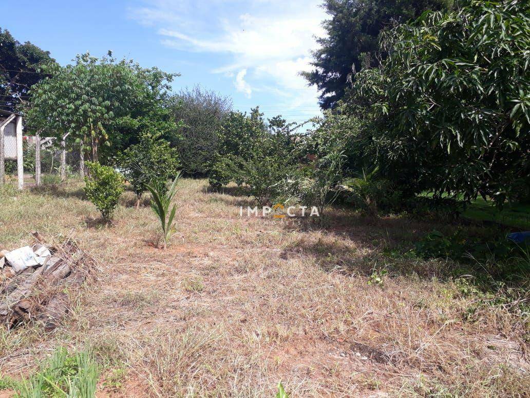 Fazenda à venda com 3 quartos, 1600M2 - Foto 10