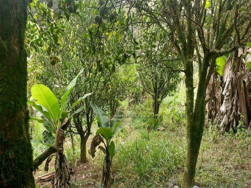 Chácara, 3 quartos, 1250 m² - Foto 23