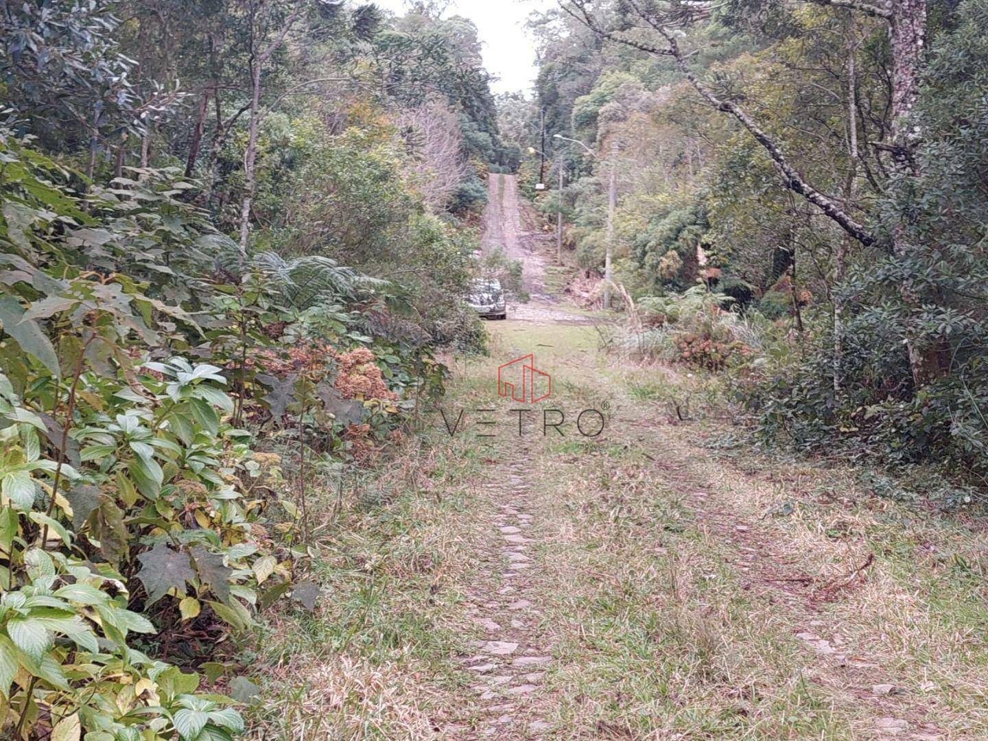 Loteamento e Condomínio à venda, 4060M2 - Foto 5