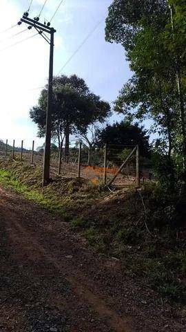 Loteamento e Condomínio à venda, 1000M2 - Foto 4