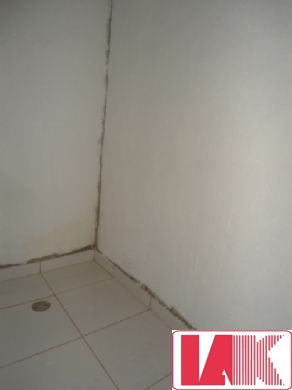 Casa para alugar com 1 quarto, 30m² - Foto 19