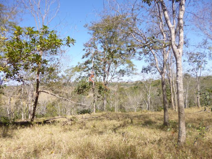 Fazenda à venda - Foto 7