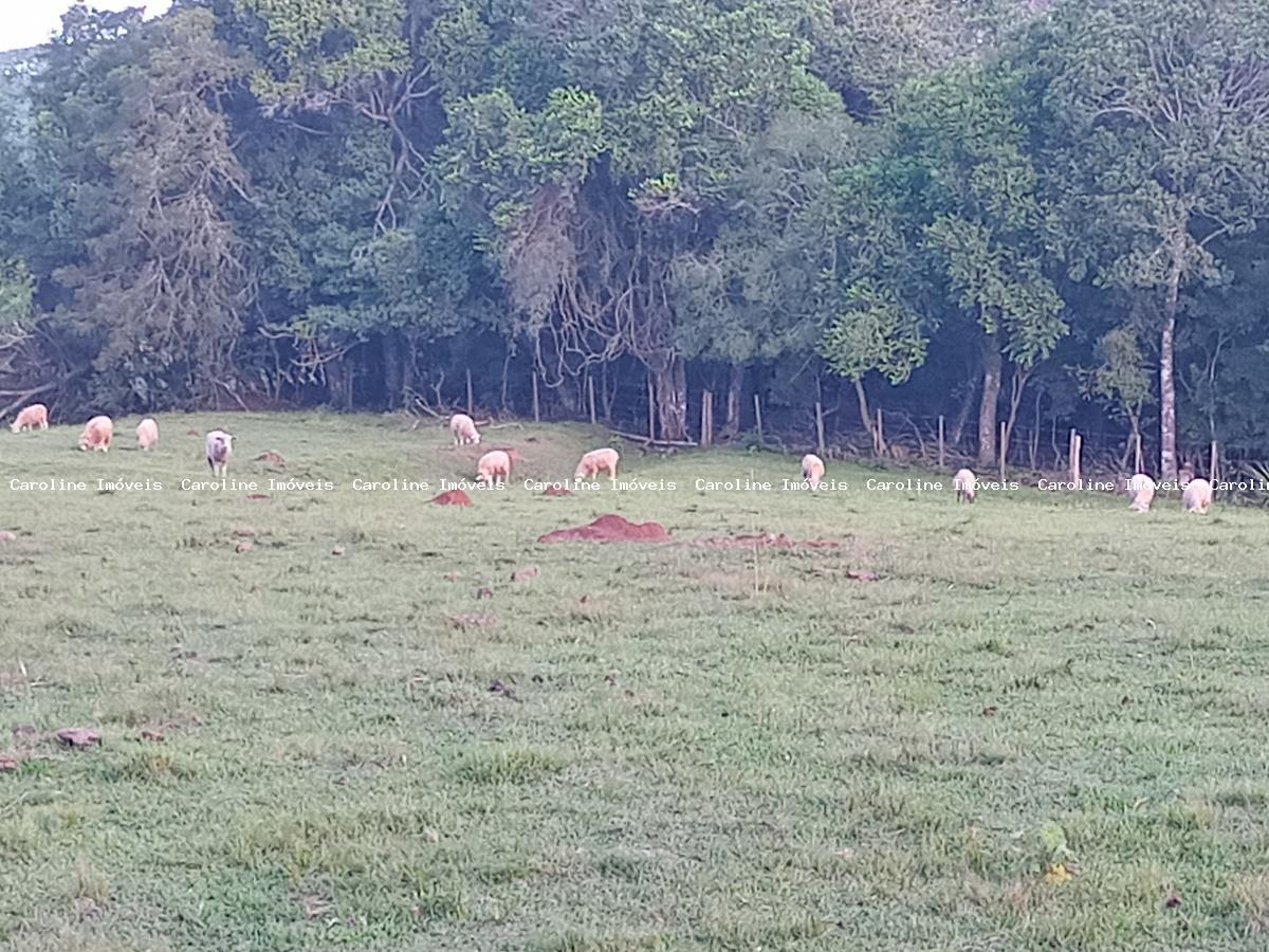 Fazenda à venda, 160000m² - Foto 3