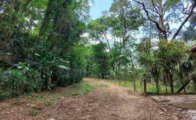 Sítio à venda com 3 quartos, 100000m² - Foto 15