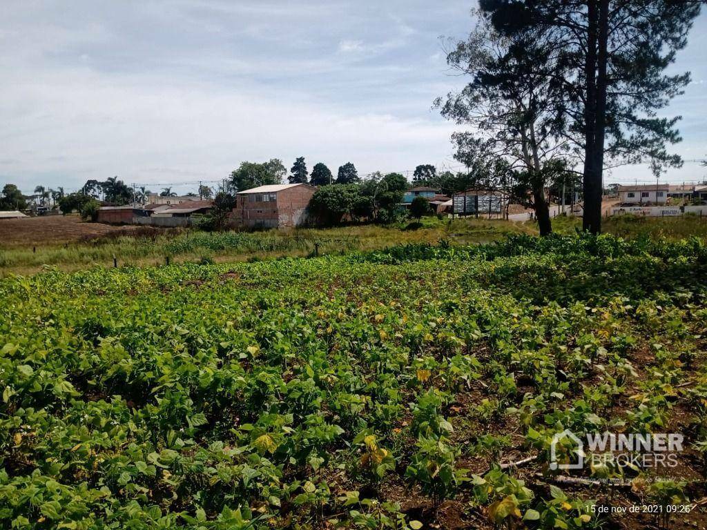 Terreno à venda, 41125M2 - Foto 20