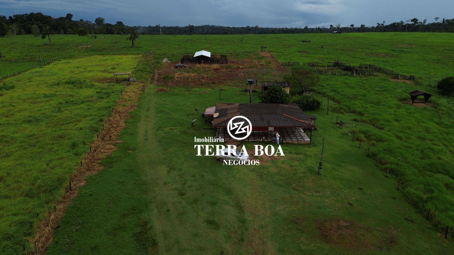 Sítio, 73 hectares - Foto 2