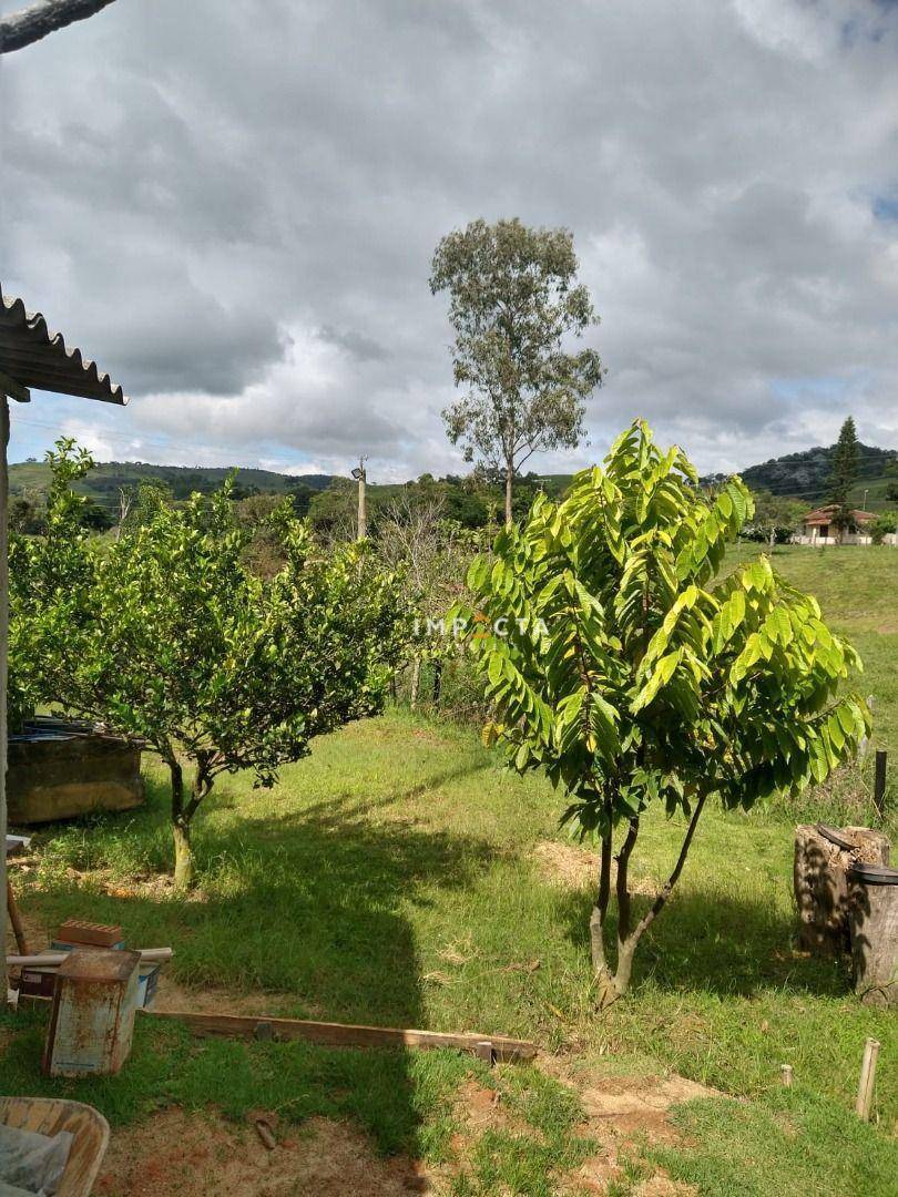 Chácara, 2 quartos, 2500 m² - Foto 14