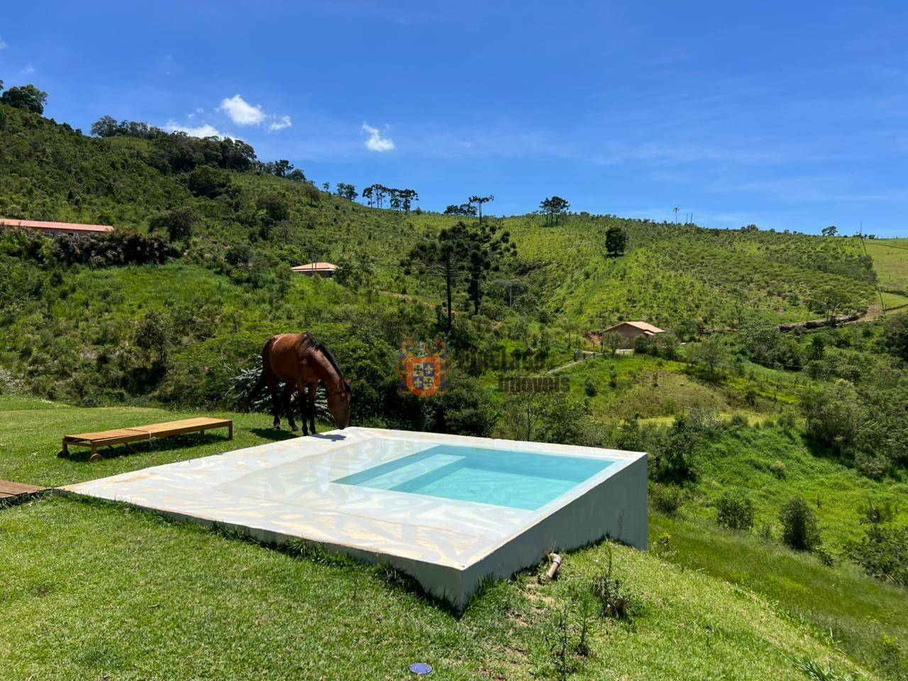 Sítio, 2 quartos, 10000 m² - Foto 2