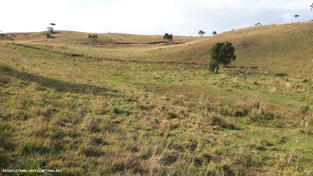 Fazenda à venda, 34m² - Foto 16