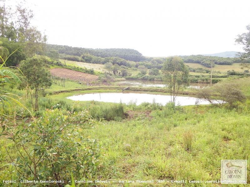 Fazenda à venda com 3 quartos, 60000m² - Foto 11