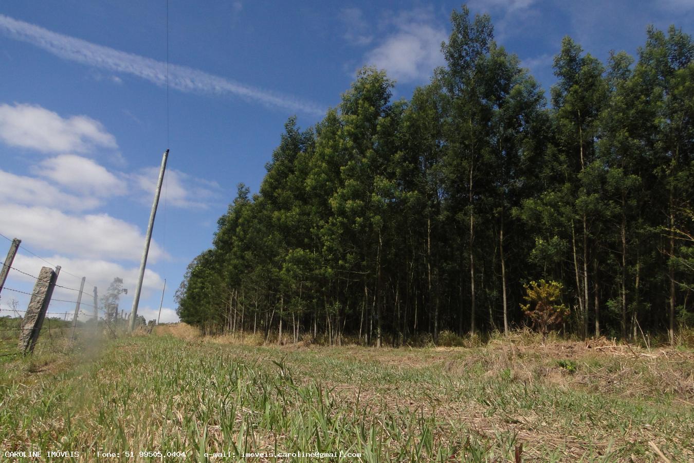 Fazenda à venda com 2 quartos, 180000m² - Foto 15