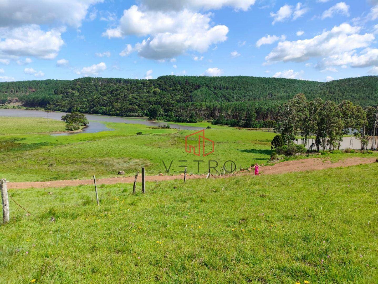 Sítio, 2 hectares - Foto 5