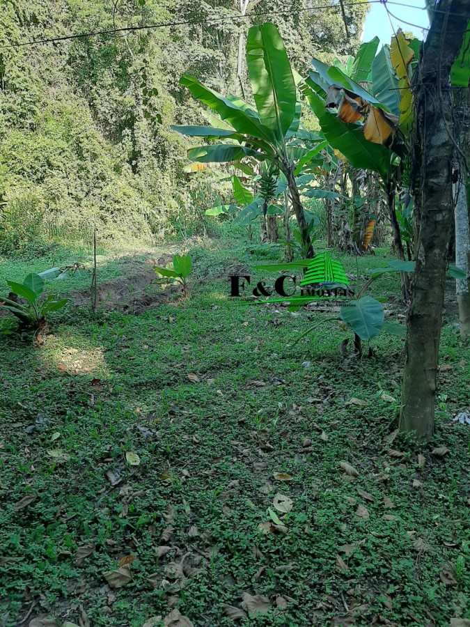 Chácara à venda com 2 quartos, 630m² - Foto 7
